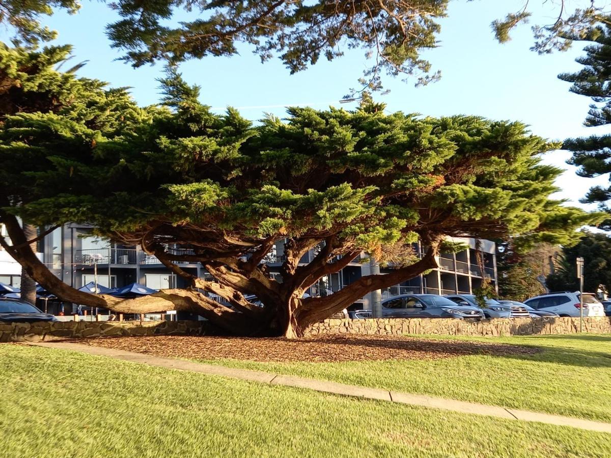 In Phillip Island Towers - Block C Cowes